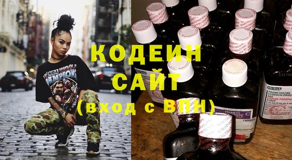индика Ельня