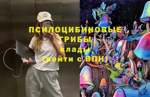 тгк Баксан