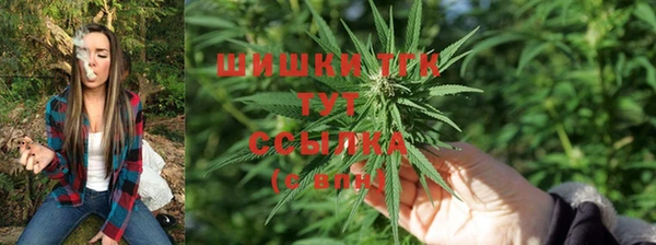 тгк Баксан