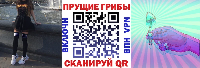 наркотики блэк спрут маркетплейс Галлюциногенные грибы Cubensis Новый Уренгой